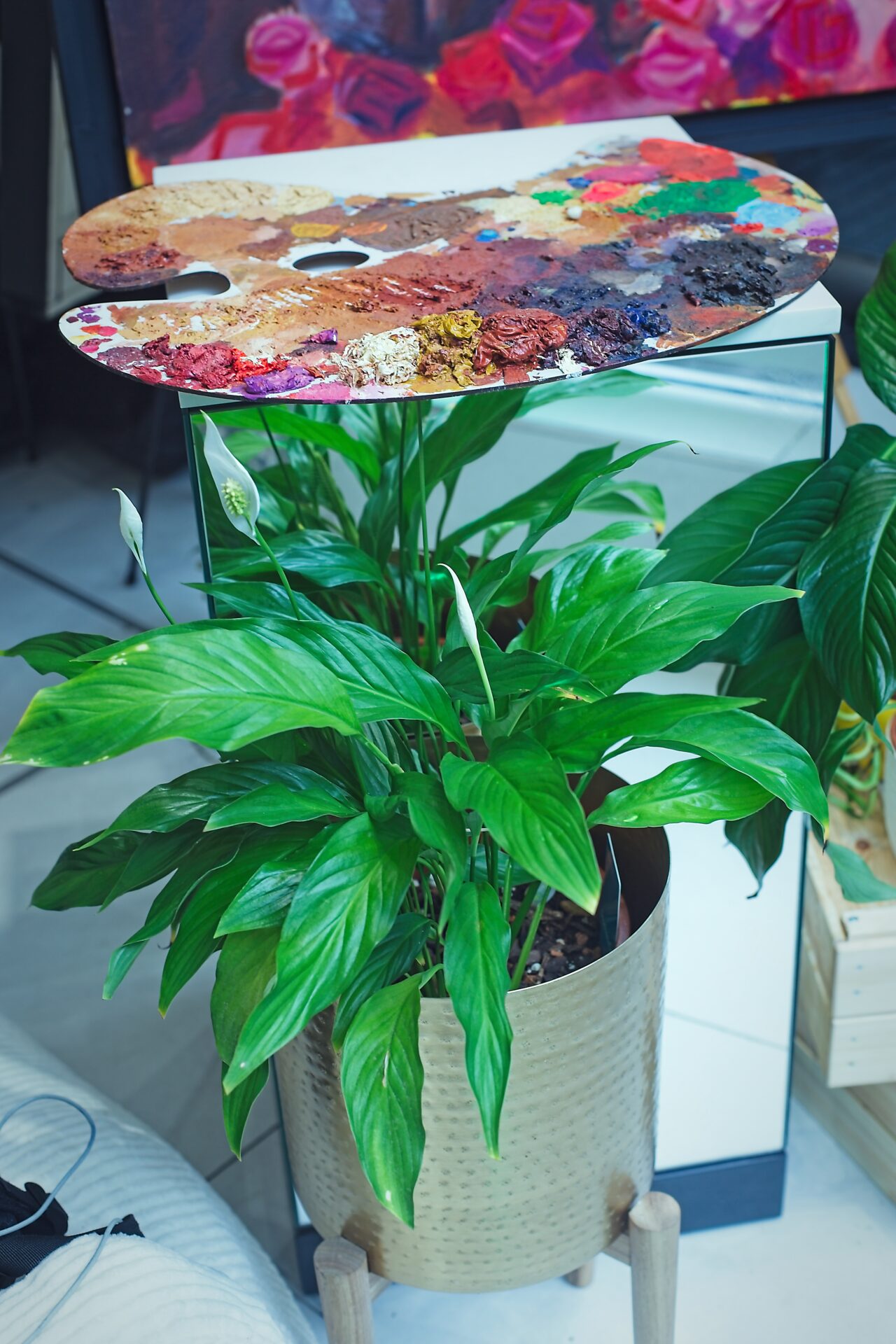 A palette covered in a variety of paints, sitting above a potted plant.